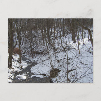Snowy creek postcard
