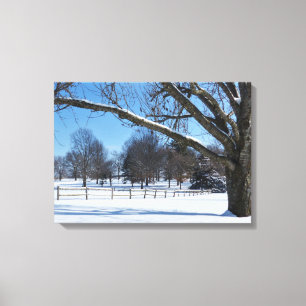 Snowy Day Canvas Print