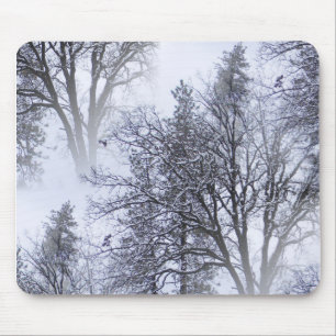 Snowy day in the trees... mouse pad