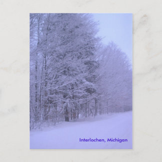snowy dayz, Interlochen, Michigan Postcard
