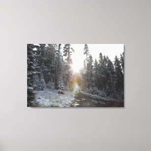 Snowy dirt road going into the sun canvas print