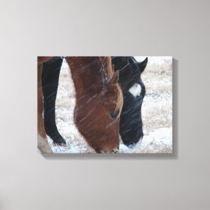 Snowy Eats Canvas Print