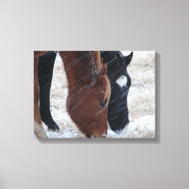 Snowy Eats Canvas Print (Front)