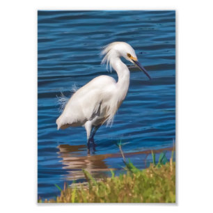 Snowy Egret at the Pond Photo Print