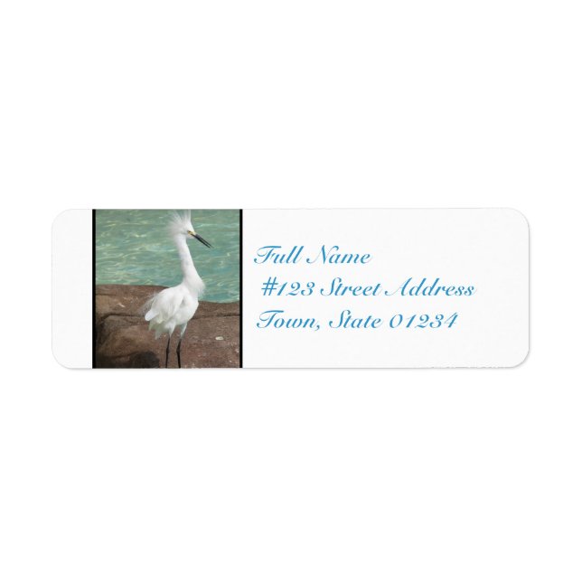 Snowy Egret Bird (Front)