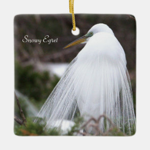 Snowy Egret Bird Ornament