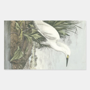 Snowy Egret by Audubon Rectangular Sticker