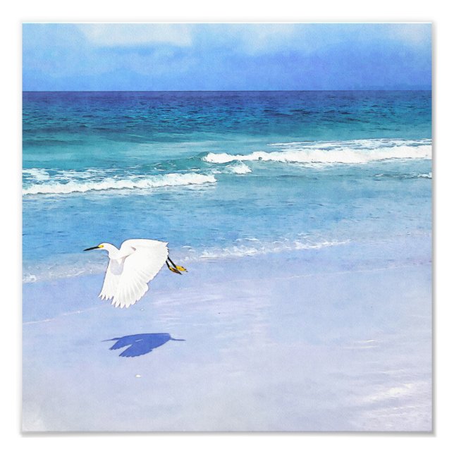 Snowy Egret Coastal Watercolor Photo Print (Front)