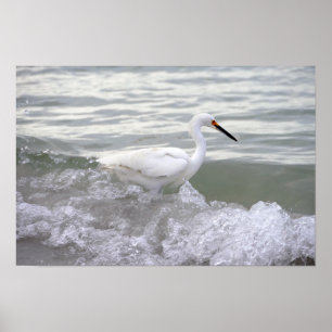 Snowy Egret in the Surf Poster