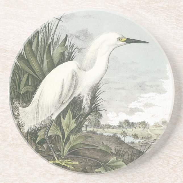 Snowy Egret, John Audubon Coaster (Front)