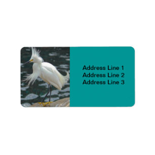 Snowy Egret Label