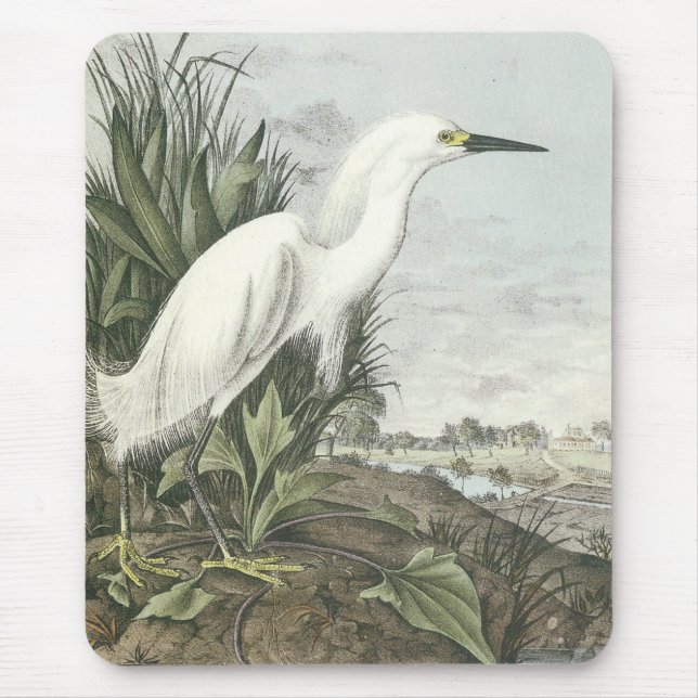 Snowy Egret Mouse Pad (Front)
