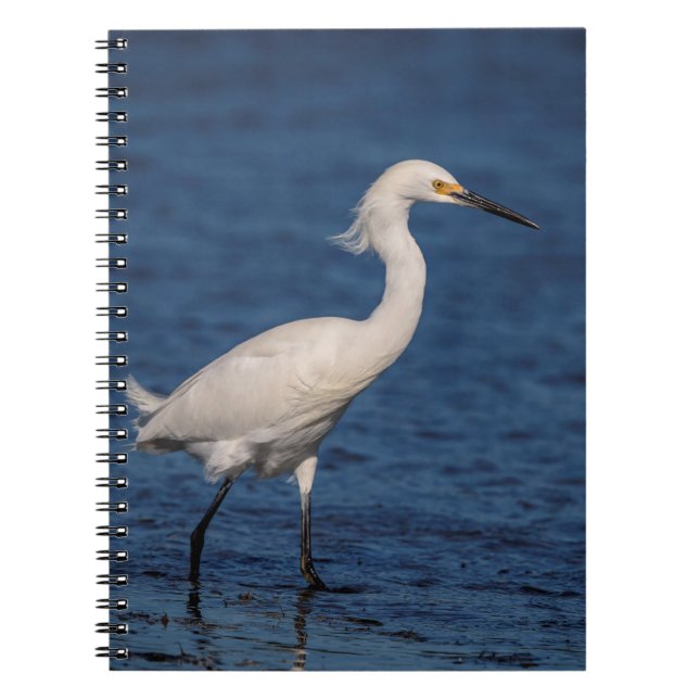 Snowy Egret on North Beach Notebook (Front)