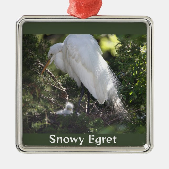 Snowy Egret with Baby Ornament  (Front)