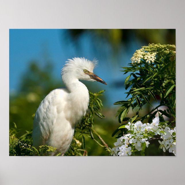 Snowy Egret with Flowers Print or Poster (Front)