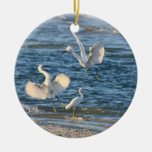 Snowy Egrets Dancing (Can be Personalised)