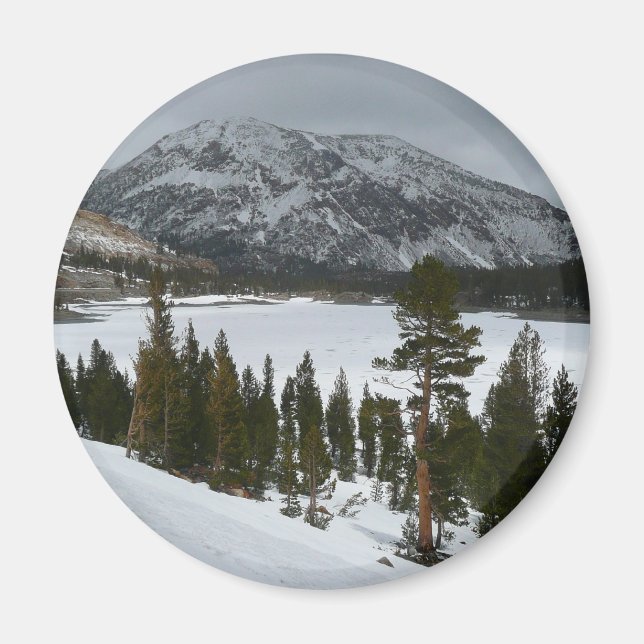 Snowy Ellery Lake California Winter Landscape Magnet (Front)
