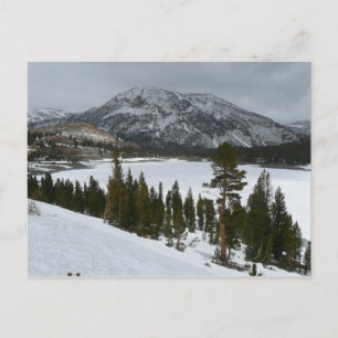 Snowy Ellery Lake California Winter Landscape Postcard