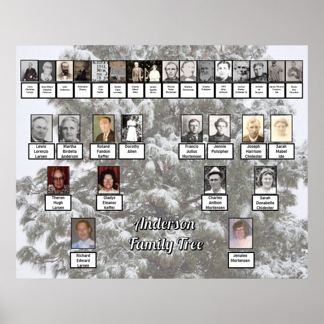 Snowy Evergreen 4 Generation Family Tree Poster (Front)