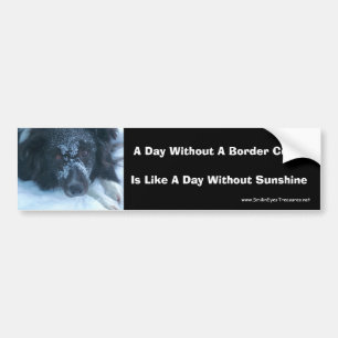 Snowy Face Border Collie Dog Lovers Bumper Sticker