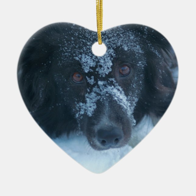 Snowy Faced Border Collie Dog Ornament (Front)