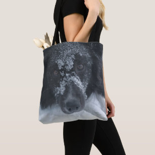 Snowy Faced Border Collie Dog  Tote Bag