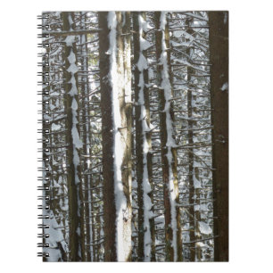 Snowy Fir Tree Notebook