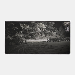 Snowy Forest at Night Desk Mat
