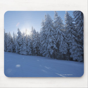 snowy forest in the mountain mouse pad