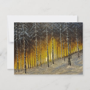 Snowy Forest Postcard