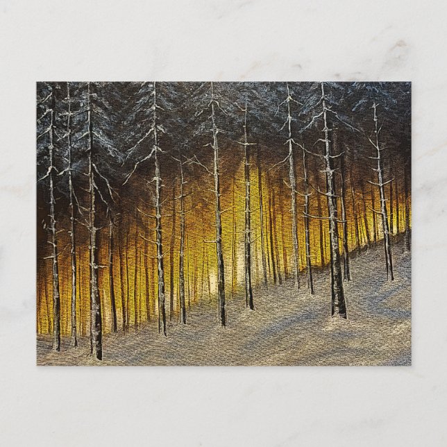 Snowy Forest Postcard (Front)