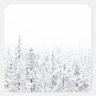 Snowy forest square sticker