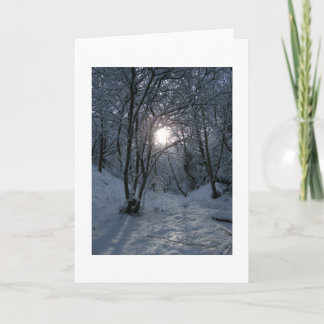 Snowy Forest Trail Card