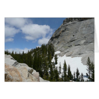 Snowy Granite Domes II Yosemite National Park