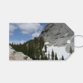 Snowy Granite Domes II Yosemite National Park Gift Tags