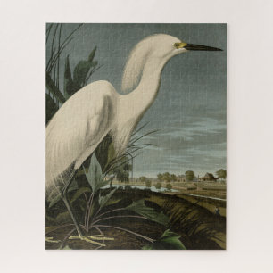 Snowy Heron (Egret) - Audubon's Birds of America Jigsaw Puzzle