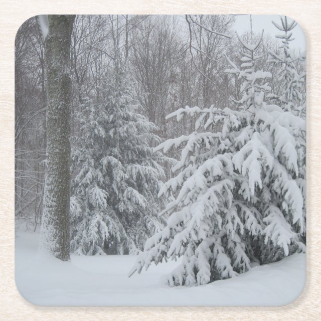 Snowy Holiday Coaster (Front)