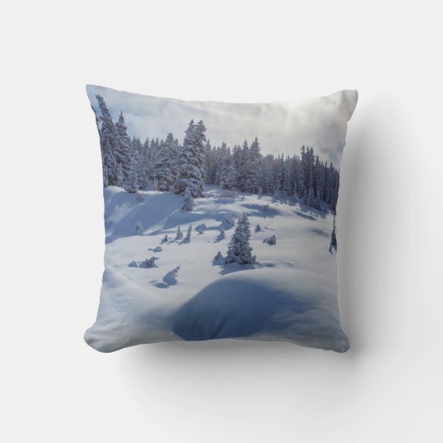 Snowy Landscape Cushion (Front)