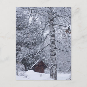 snowy landscape postcard