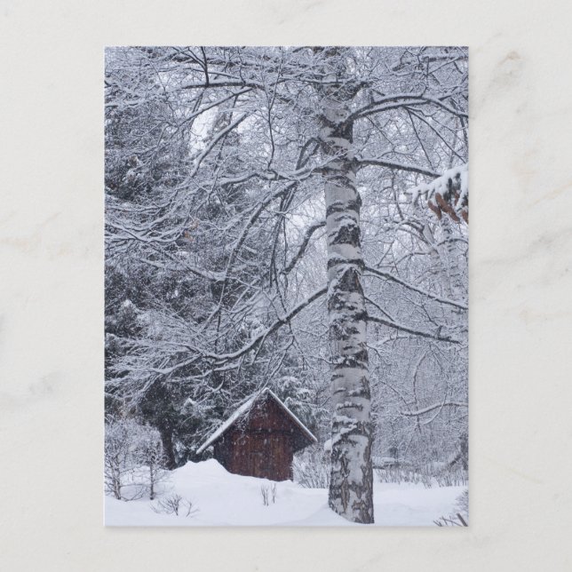 snowy landscape postcard (Front)
