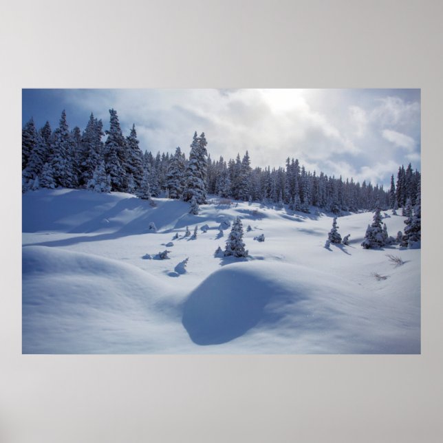 Snowy Landscape Poster (Front)