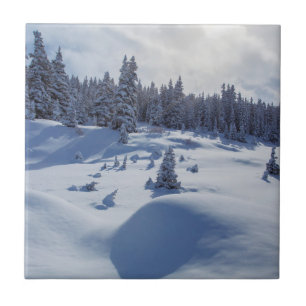 Snowy Landscape Tile
