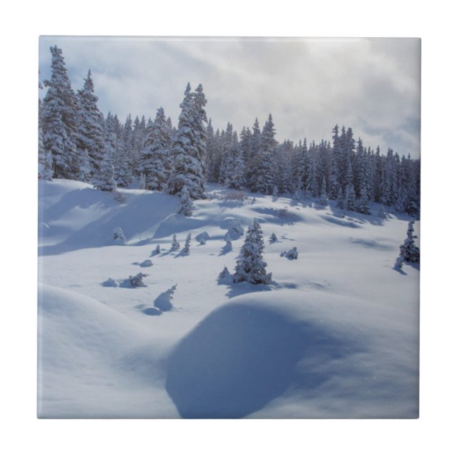 Snowy Landscape Tile (Front)