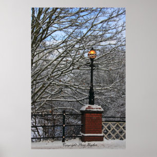 Snowy Light Scene Print