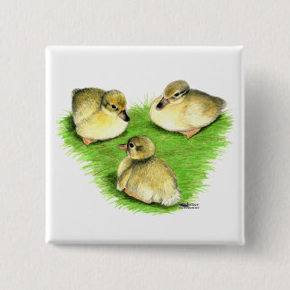 Snowy Mallard Ducklings 15 Cm Square Badge
