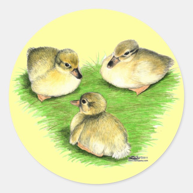 Snowy Mallard Ducklings Classic Round Sticker (Front)