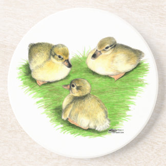 Snowy Mallard Ducklings Coaster
