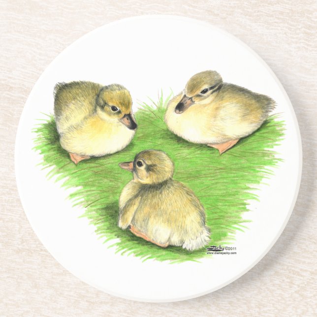 Snowy Mallard Ducklings Coaster (Front)