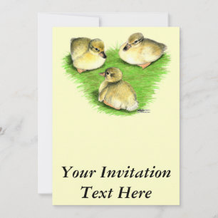 Snowy Mallard Ducklings Invitation