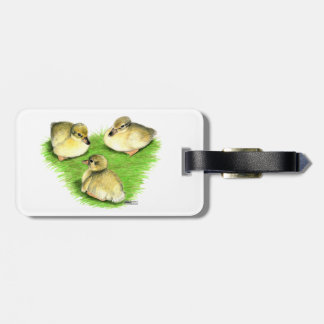 Snowy Mallard Ducklings Luggage Tag